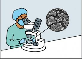 Un chercheur regarde des microbes dans un microscope