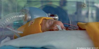 L'accueil de la fratrie en réanimation néonatale