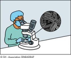 Un chercheur observe une bactérie avec un microscope