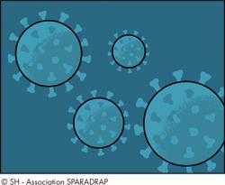 image du coronavirus vu au microscope