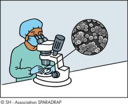Un chercheur regarde des microbes dans un microscope